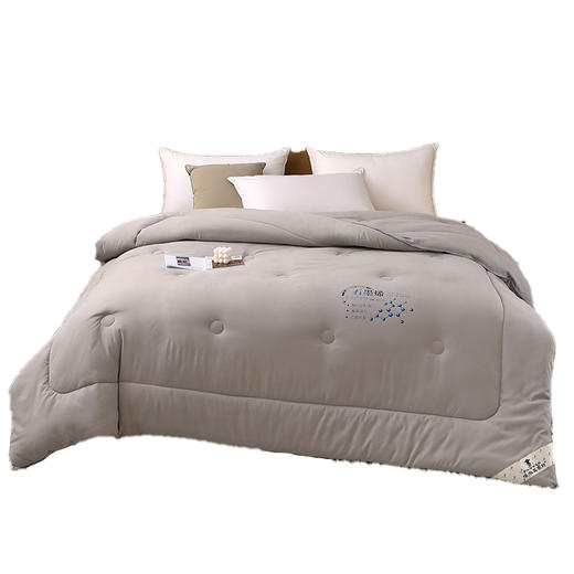 PLOVER啄木鸟 石墨烯能量被200*230cm/2.9KG ZMN-DB003 商品图0