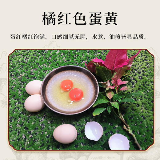 顺丰包邮【自营】爱格藻缘红虾青素鸡蛋  天然虾青素鸡蛋 商品图2