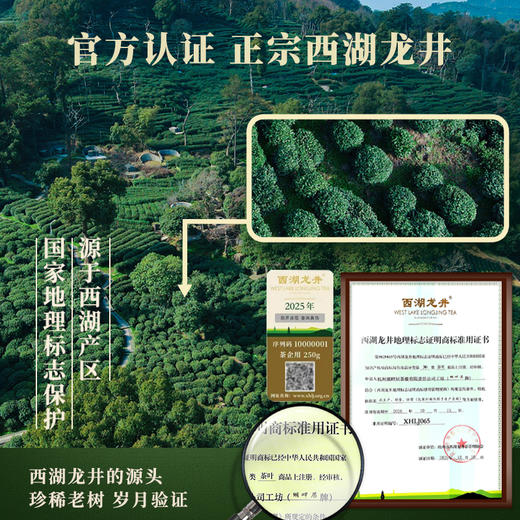 【新茶上市】湖畔居春茶西湖龙井头采明前正宗定制老茶树250g高档礼盒 商品图4