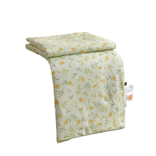 Southlife南方生活 夏日橙C夏凉被150*200cm NFWC--08BZ012 商品图0