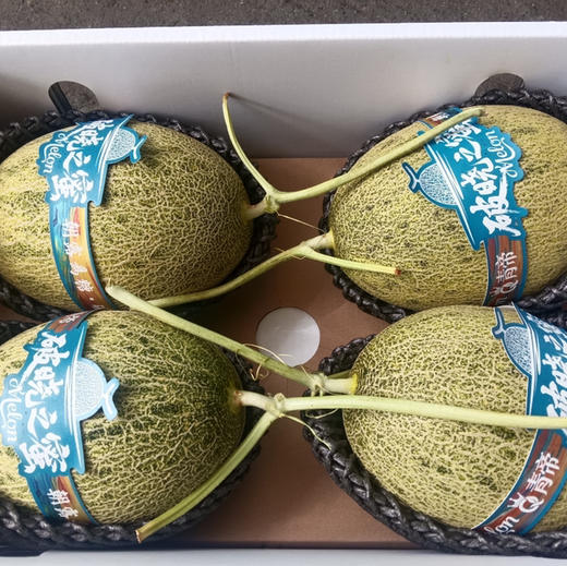 【青帝蜜瓜】脆嫩多汁，香味独特，特别爽口的一款瓜，值得一试 商品图2