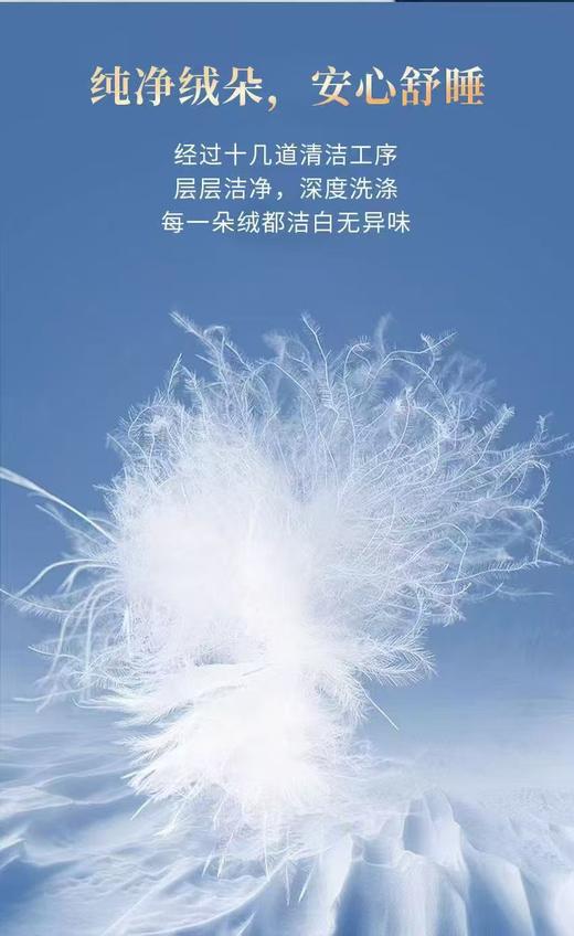 【富安娜】B座7FA类西伯利亚进口羽绒被系列/哈德逊（送2000元线下无门槛券！） 商品图3