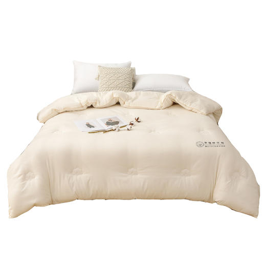 蒙卡罗尼 A类新疆长绒棉四季被-阿克苏200*230cm MKLNAKS 商品图0