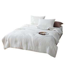 南方生活Southlife 云柔蛋白水洗被 NFWC--08BZ001