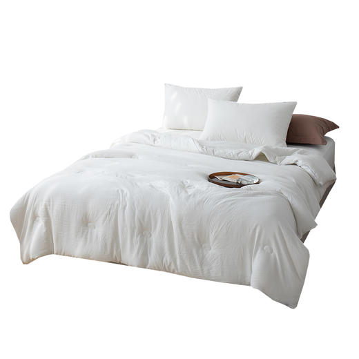 南方生活Southlife 云柔蛋白水洗被 NFWC--08BZ001 商品图0