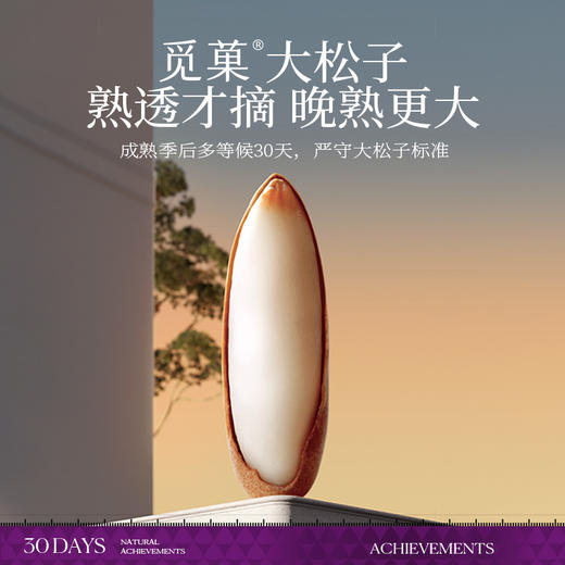 觅菓AA+级阿富汗手剥松子268g巴西松子高端特大营养健康坚果零食 商品图2