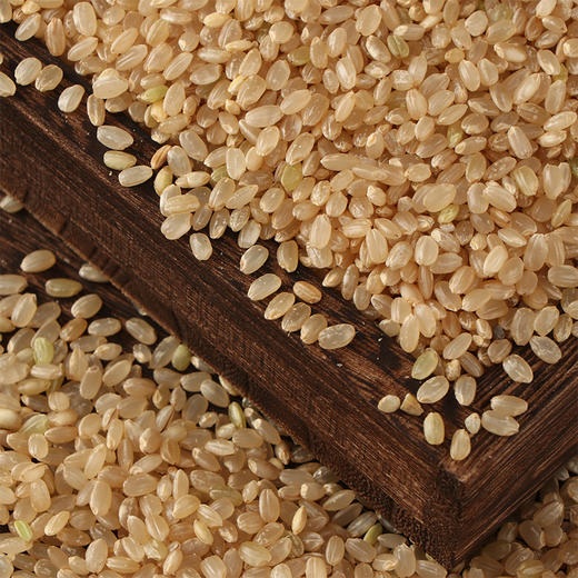 【产地直发包邮】正耕—有机糙米 商品图1