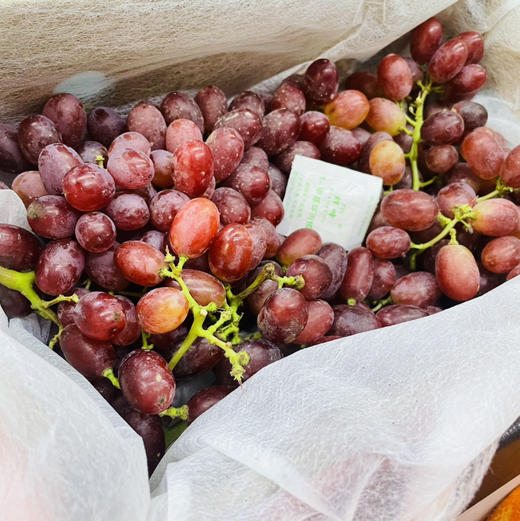 【云南克伦生无籽红提小糖豆】果粉足，超新鲜，嘎嘣脆～一口爆汁。又漂亮又好吃，大补 商品图6