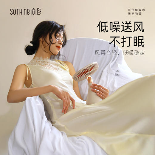 SOTHING向物 桌面风扇-手捧花5w DSHJ-S-2113A 商品图4