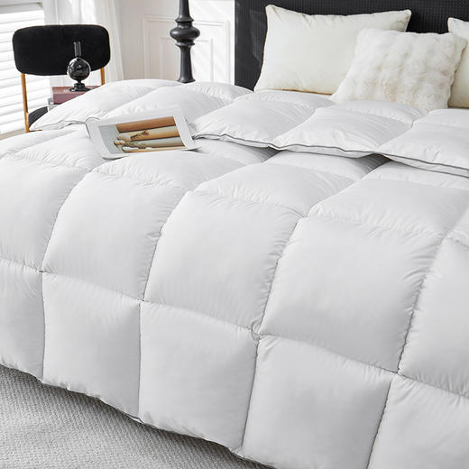 彼加曼 冰岛纳米锁暖羽丝绒被200*230cm BGM-B2557 商品图2