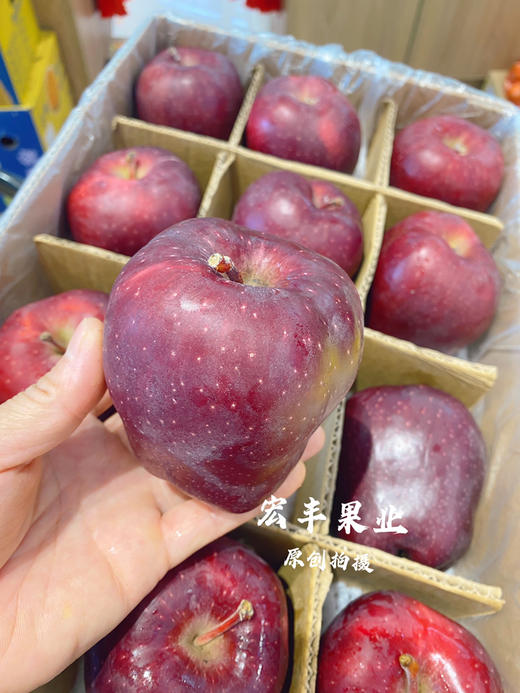 【宏丰精选】 甘肃天水花牛苹果 粉苹果 苹果香甜肉质 口感酥脆 的”红元帅“，零售14.8元一斤 商品图3