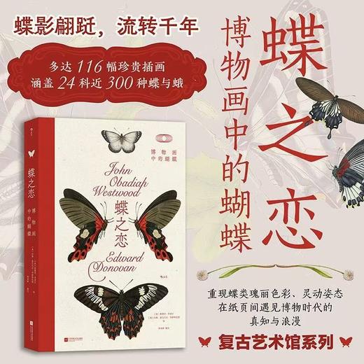 蝶之恋 博物画中的蝴蝶 绘画设计参考 自然艺术科普收藏书籍 后浪正版 商品图0