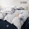 晚安家纺 纯棉床单四件套 年华200*230cm WA009 商品缩略图4
