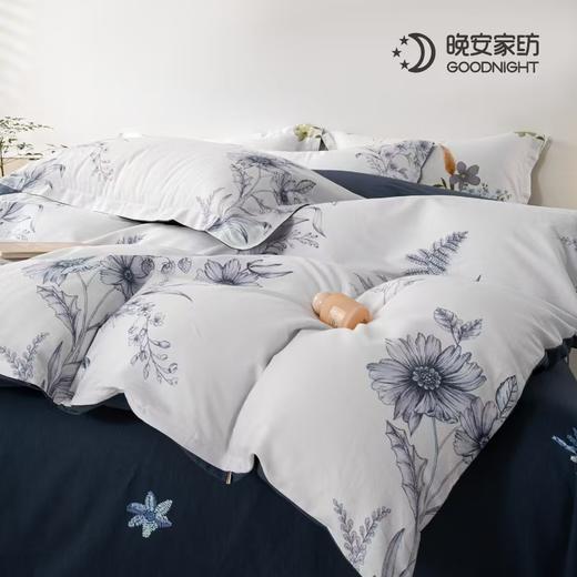 晚安家纺 纯棉床单四件套 年华200*230cm WA009 商品图4