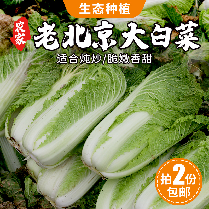 【2份包邮】老北京新三号大白菜 脆嫩微甜 适合炒炖腌酸菜 新鲜蔬菜 生态种植3斤