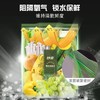 妙洁 果蔬锁鲜袋大号（EC） MBZGL10-EC 商品缩略图3