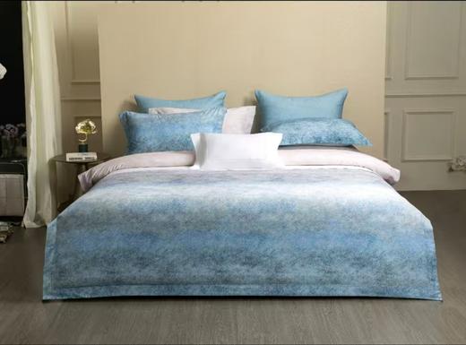 6F堂皇 伦萨棉天丝磨毛四件套 商品图0