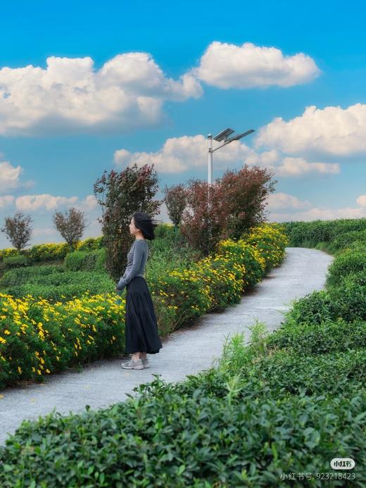 年终团建【雅安·463号院】仅2699！5房/6房临湖温泉私汤小院，12人+独栋温泉包院+烤全羊！团建聚会、烧烤垂钓一站式搞定～ 商品图3