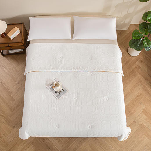 UCHINO内野 尊享云感全棉被180*200cm HU-HY01B21 商品图3