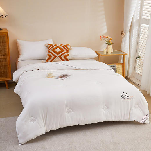 彼加曼 小豆棉云柔棉花被200*230cm BGM-BX257 商品图4