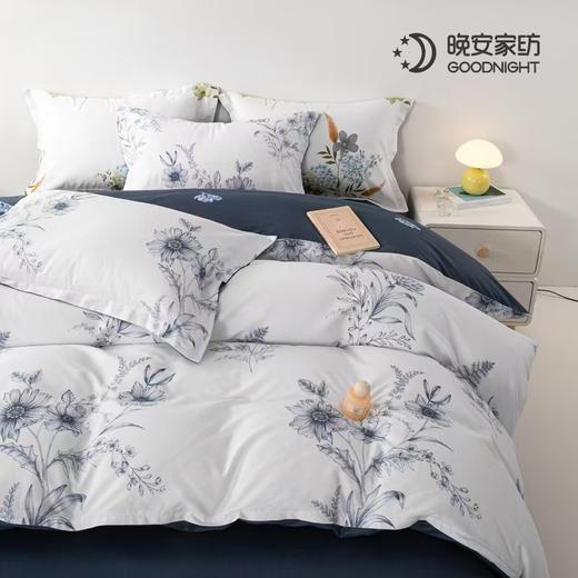 晚安家纺 纯棉床单四件套 年华200*230cm WA009 商品图3