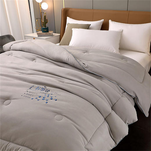 PLOVER啄木鸟 石墨烯能量被200*230cm/2.9KG ZMN-DB003 商品图3