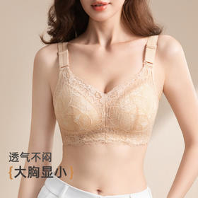 雅黛丽内衣女大胸显小收副乳防下垂文胸性感蕾丝全罩杯大码胸罩