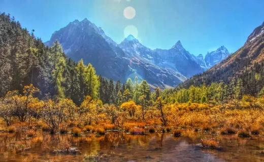 【1日游|毕棚沟】绝美川西，天上仙境，人间阆苑 原始森林、可选电瓶车游览、摄影、世界自然遗产 商品图2