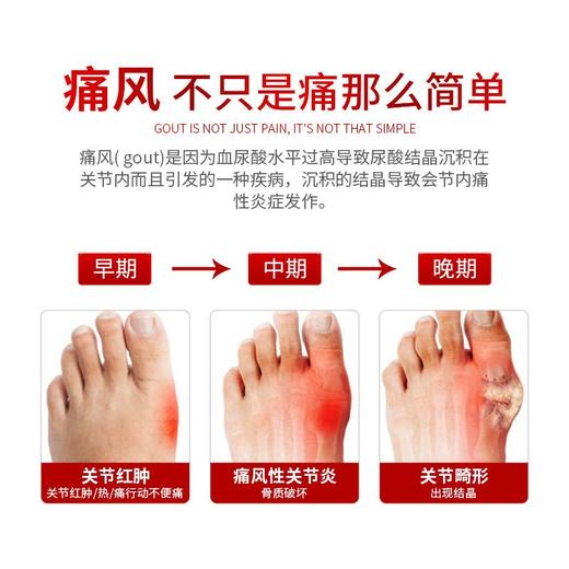 尿酸嘌呤活性多肽 商品图2