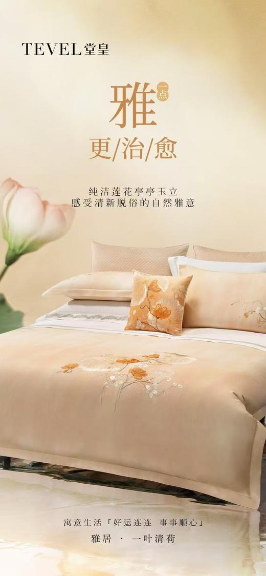 6F堂皇 一叶清荷全棉磨毛四件套 商品图0