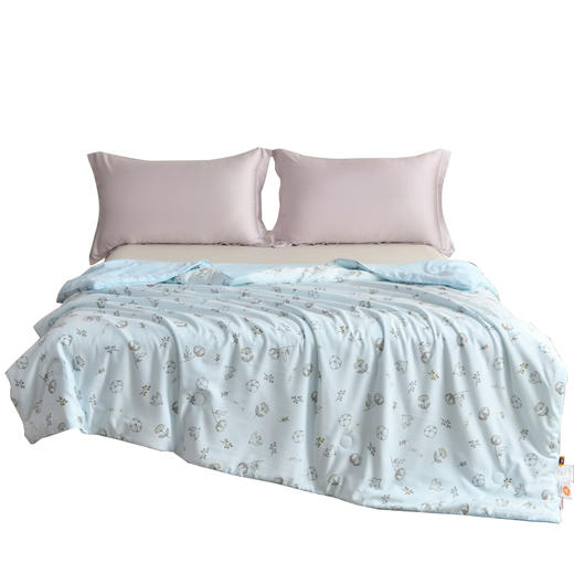 Southlife南方生活 舒眠夏凉被180*200cm NFWC--08BZ009 商品图2