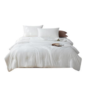 Southlife南方生活 云柔蛋白水洗被 NFWC-08BZ001