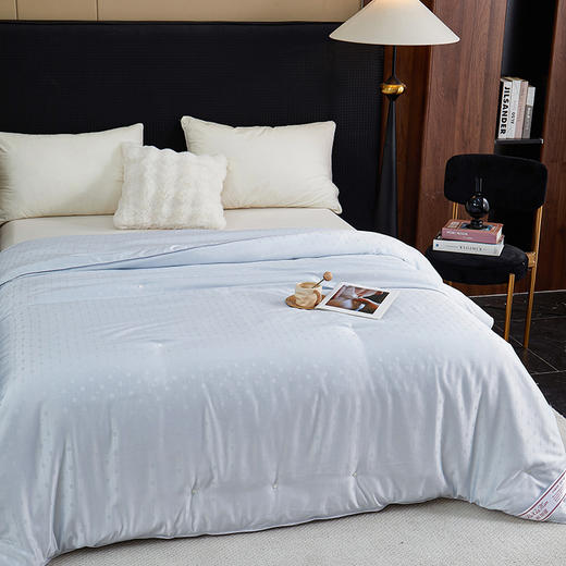 彼加曼 维罗纳银丝提花蚕丝被200*230cm BGM-B2561 商品图4