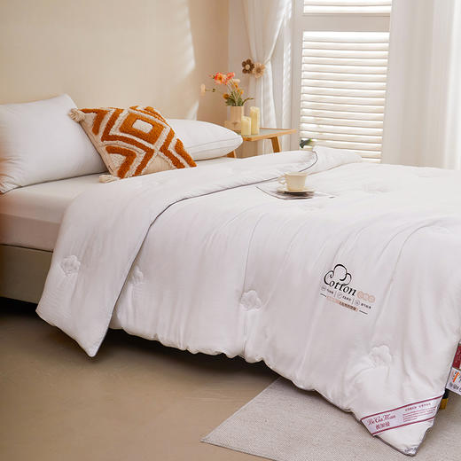 彼加曼 小豆棉云柔棉花被200*230cm BGM-BX247 商品图3