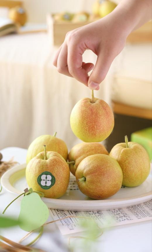 【拍一发二】新疆库尔勒香梨，果肉更脆、更甜，细腻无渣（72小时内发货） 商品图2