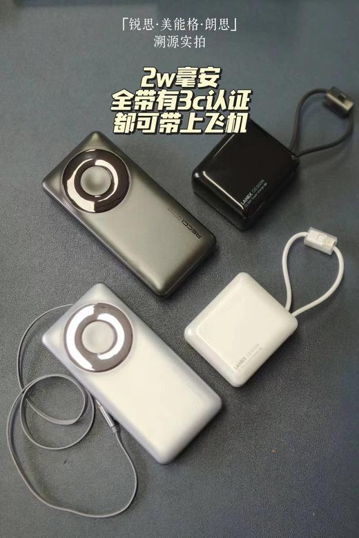 入驻山姆苹果专柜品牌！锐思·美能格·朗思【充电宝·数据线·耳机·音响合集】品牌出海前50强 远高于国家生产标准！—WD 商品图3