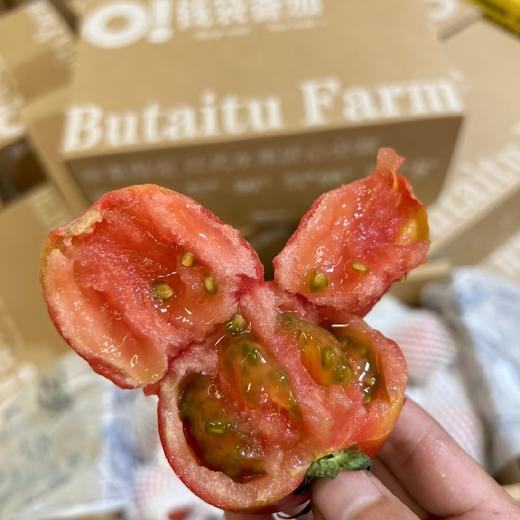 钱袋番茄（一箱3.5斤） 商品图7