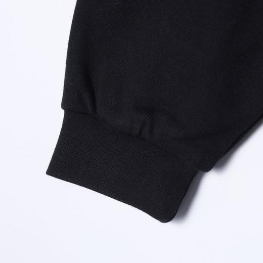 SDSA男士秋冬新款痞帅男装美式简约刺绣字母拉链连帽卫衣百搭时尚 商品图3