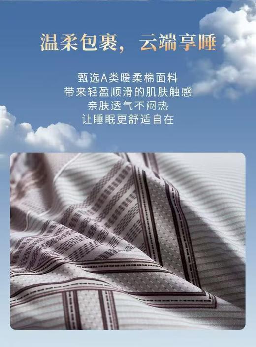 【富安娜】B座7FA类西伯利亚进口羽绒被系列/哈德逊（送2000元线下无门槛券！） 商品图5