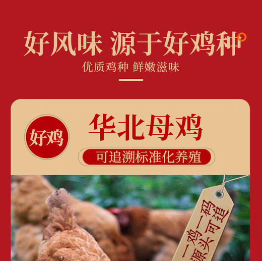 德州扒鸡真空传承1956华北母鸡礼盒1.2kg/盒 礼送中华老字号 熟食 开袋即食 商品图7