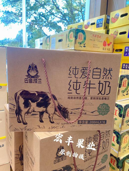 宏丰精选 巴音楼兰零添加纯牛奶 特别香醇 商品图0