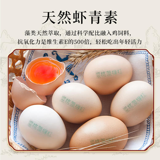 顺丰包邮【自营】爱格藻缘红虾青素鸡蛋  天然虾青素鸡蛋 商品图1