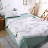 彼加曼 全棉印花夏被-叶初 180*200cm BGM-B2517 商品缩略图2