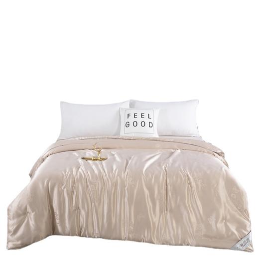 蒙卡罗尼 提花纯手工蚕丝被-芳华200*230cm MKLNFH 商品图0