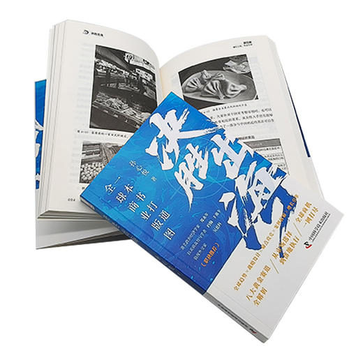 决胜出海 一本书打通全球商业版图 商品图4