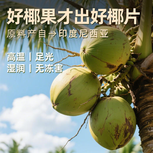 DOLE都乐烤椰片 印度尼西亚原料 休闲零食椰子片椰子脆 30g袋装 商品图4