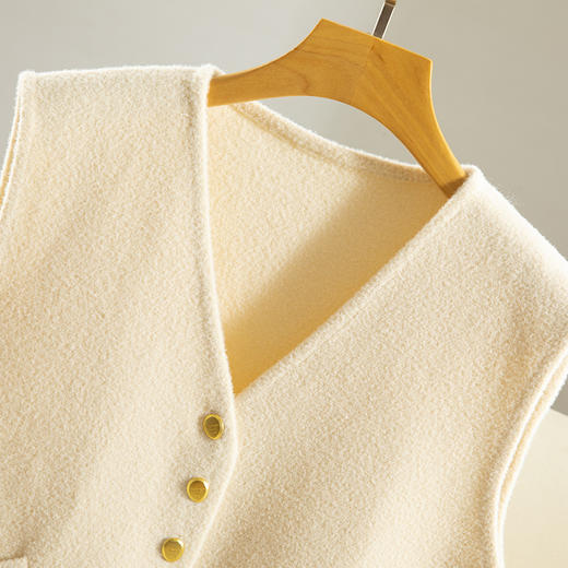 雀说休闲简约纯色高端保暖质感百搭针织复古马甲背心AL8210 商品图1