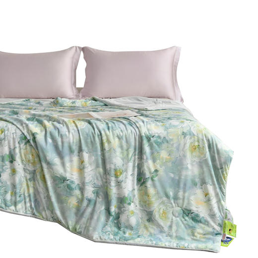 Southlife南方生活 凉感丝夏凉被荷塘月色200*230cm NFWC--08BZ010 商品图2