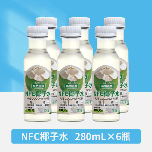 版纳雨林椰子水280ml*6 商品图0