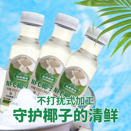版纳雨林椰子水280ml*6 商品图6